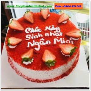 Bánh Sinh Nhật Tiramisu - T417